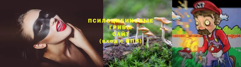 KRAKEN рабочий сайт  Руза  Псилоцибиновые грибы Magic Shrooms 