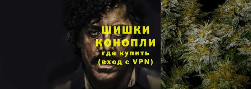 Конопля OG Kush  магазин продажи   Руза 